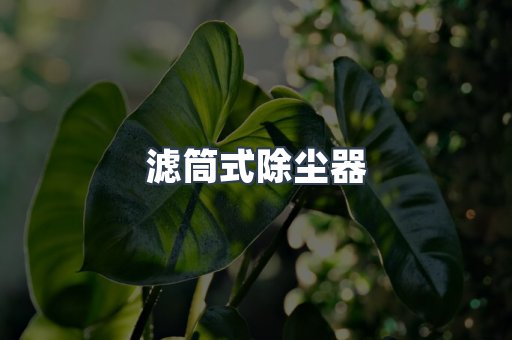 滤筒式除尘器